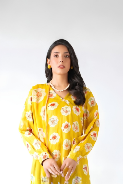 Bareeze Printed Karandi 3-Piece Suit