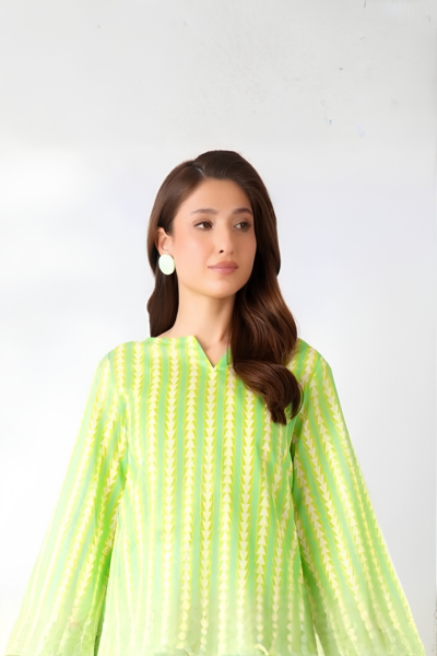 Bareeze Printed Karandi 3-Piece Suit