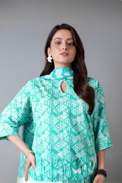 Bareeze Printed Karandi 3-Piece Suit